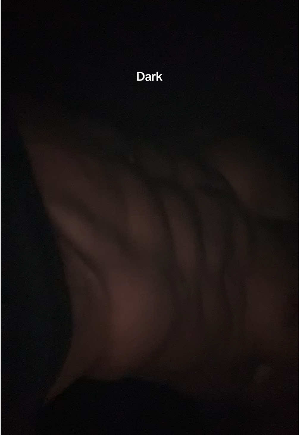 @Logan ♌️