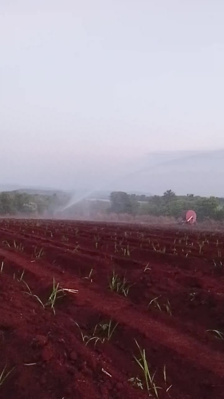 @antonioferreirapa