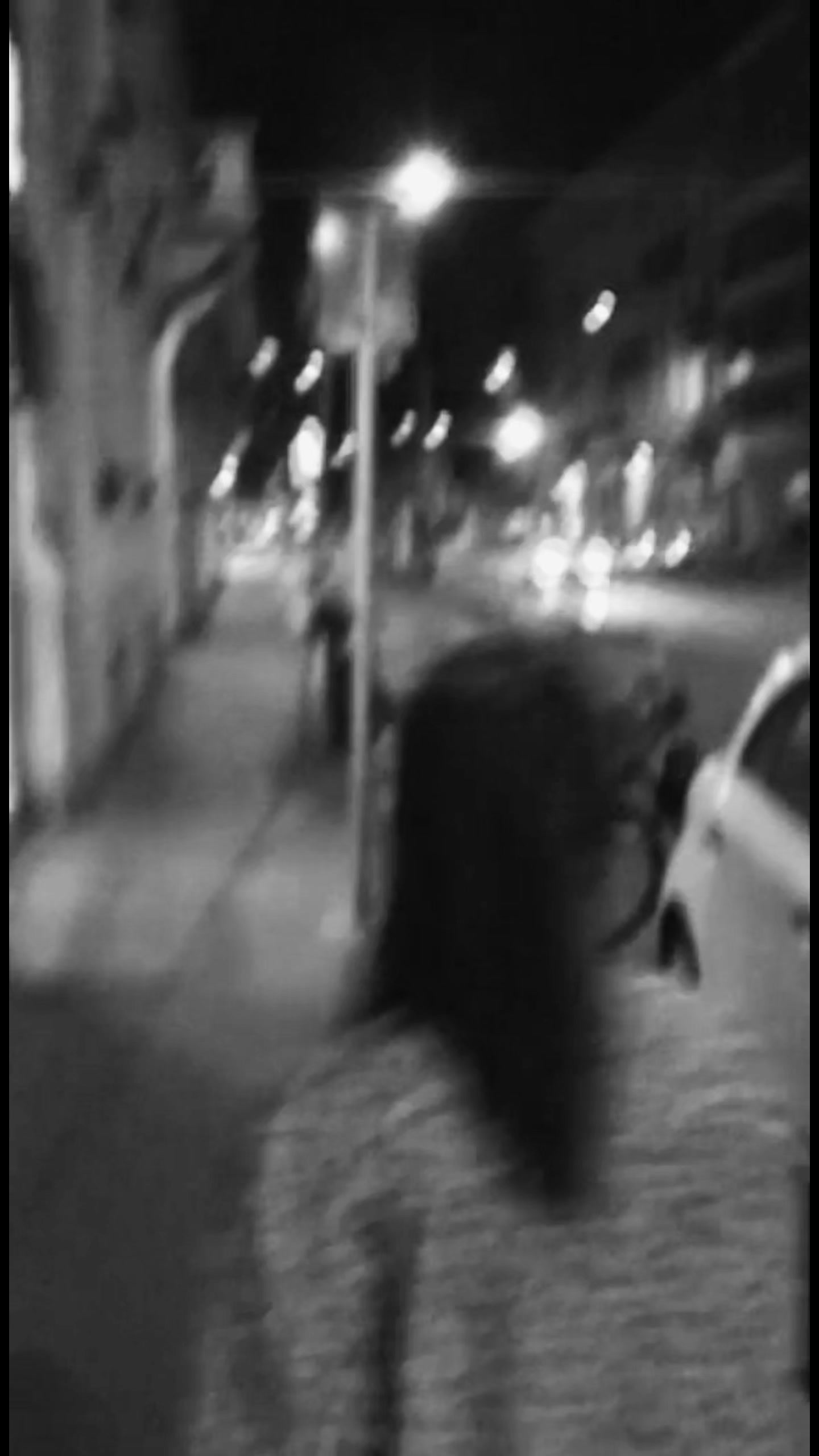 @Catia Braccio