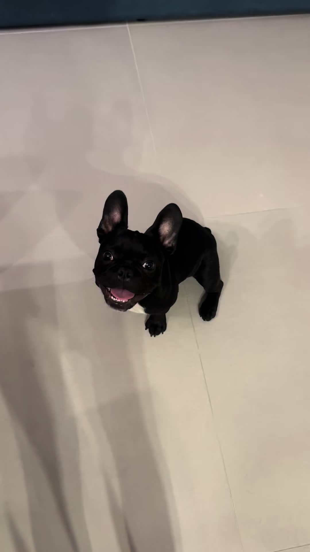 @Bullo_mal&ugrave;