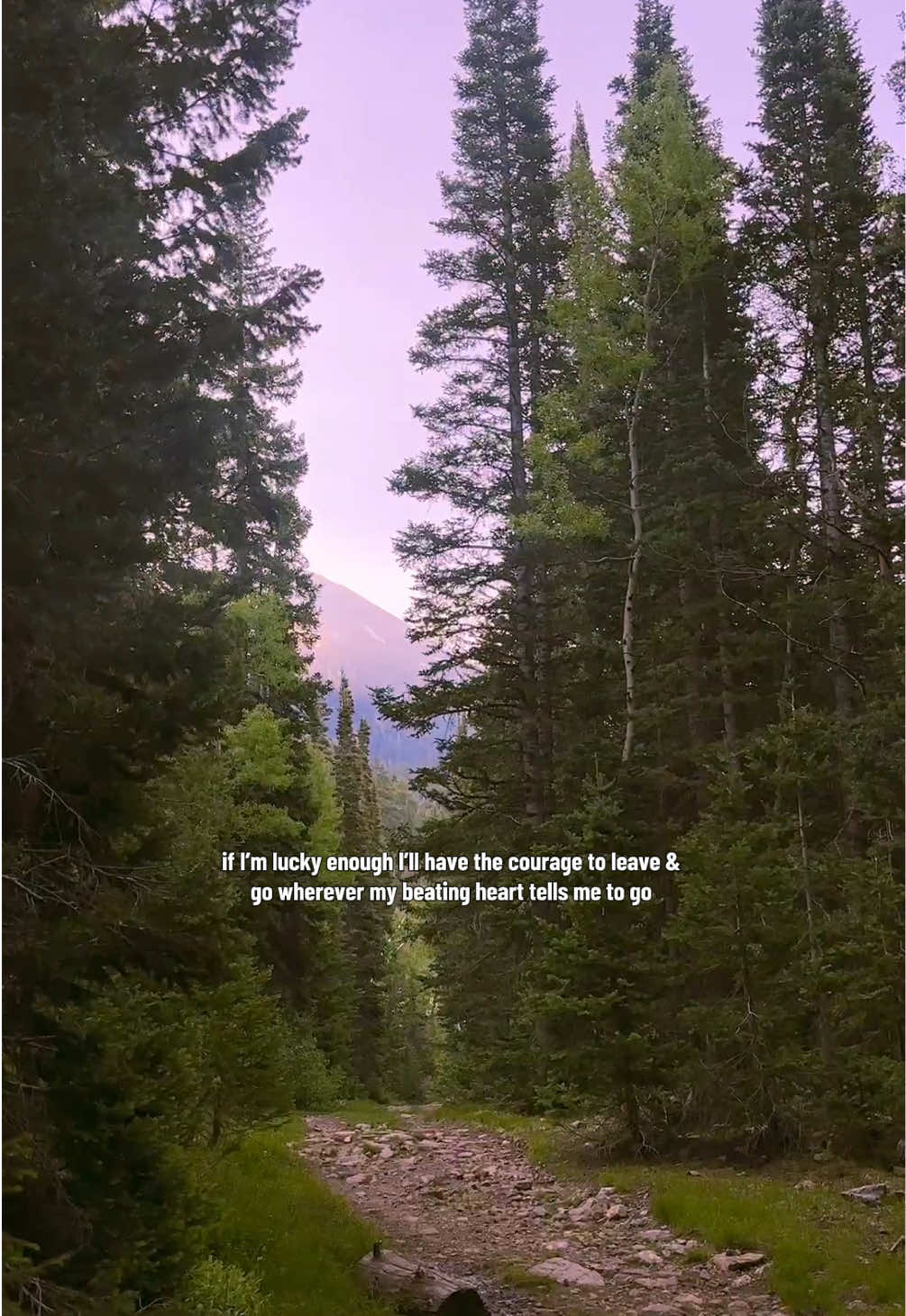 @sadie taylor 🏔️