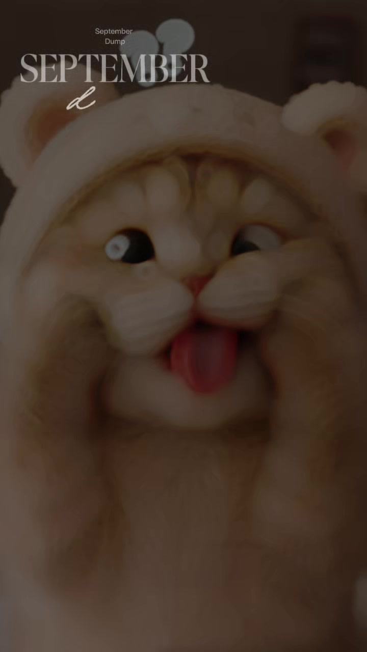 @quiz.boy001