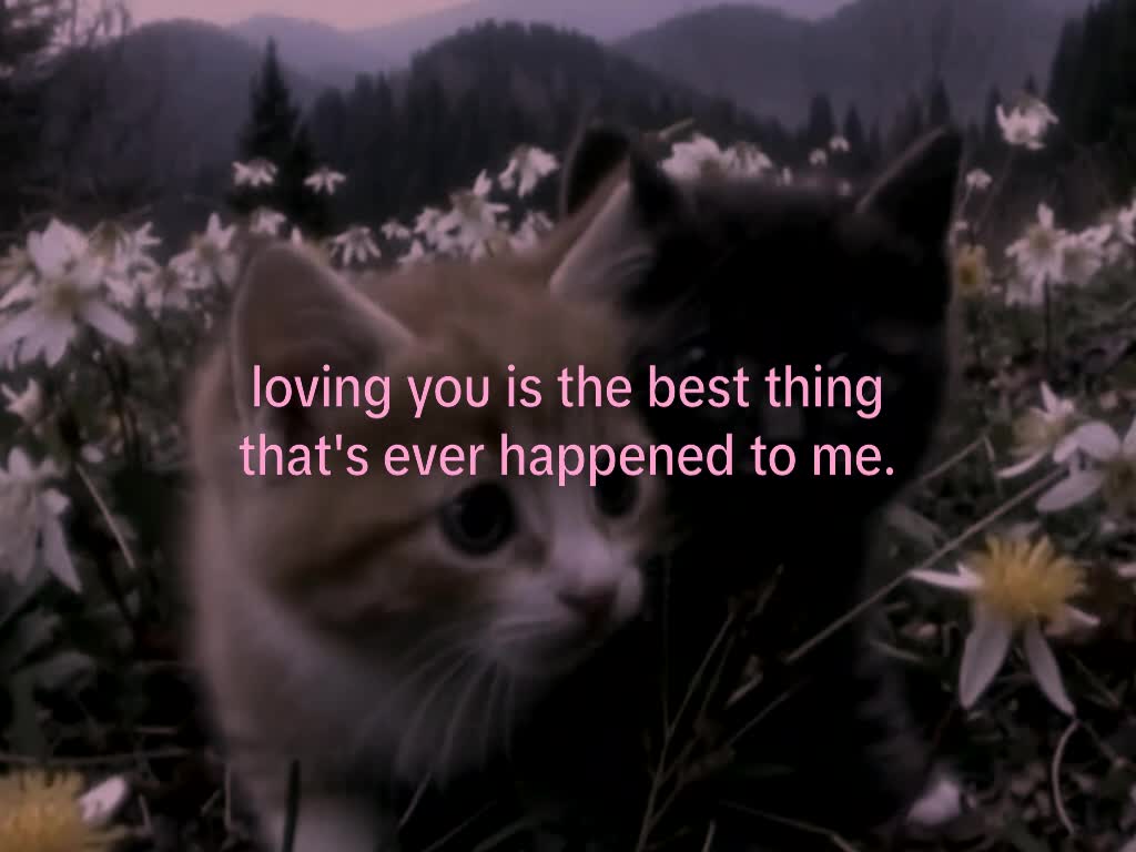 @mond