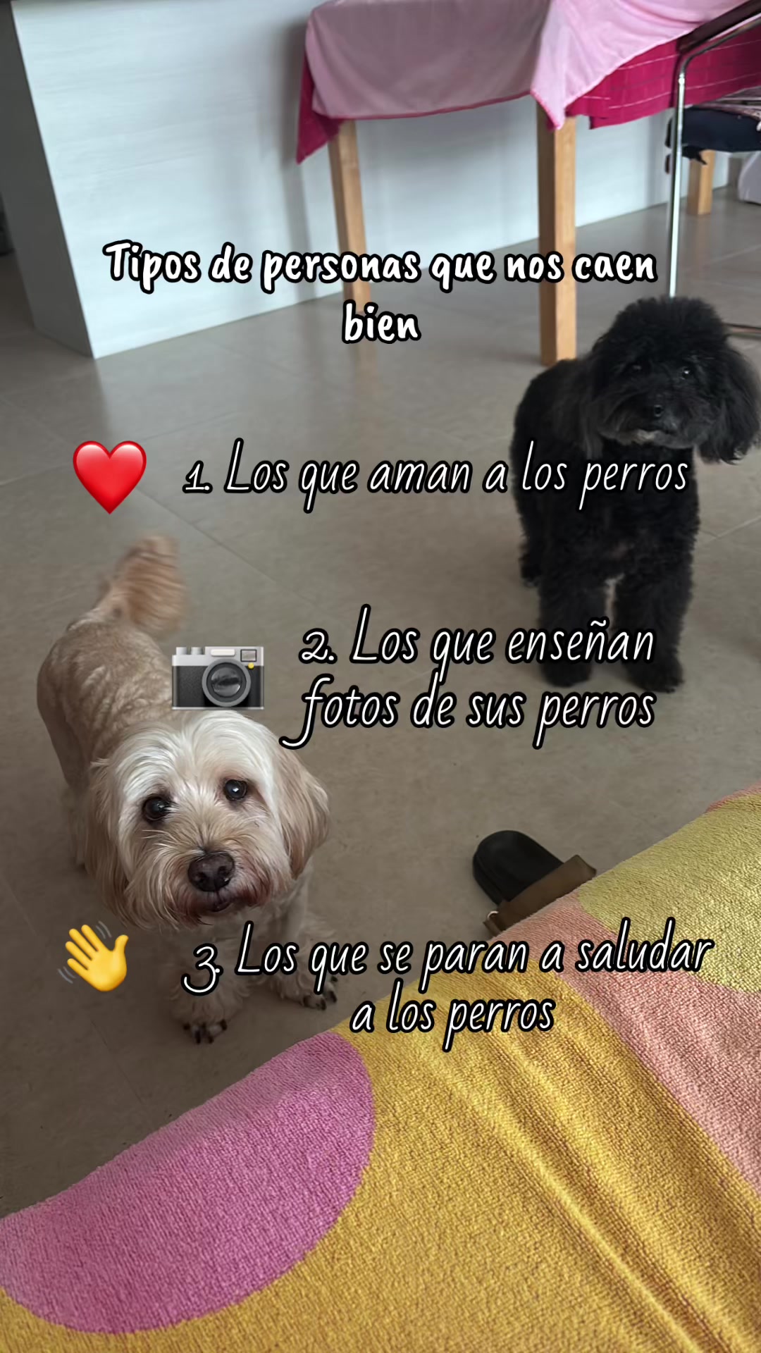 @Beyli