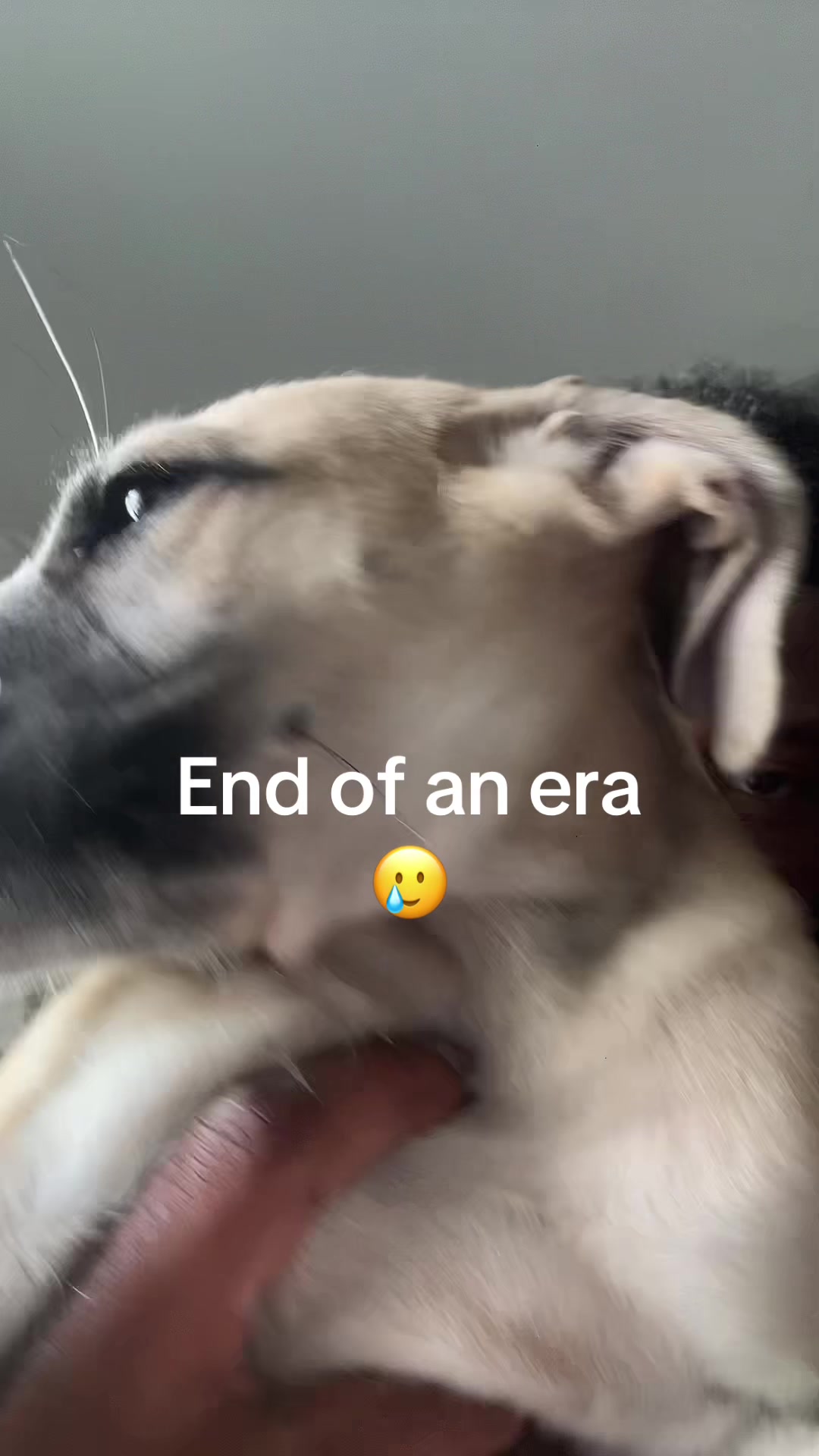 @Tre5