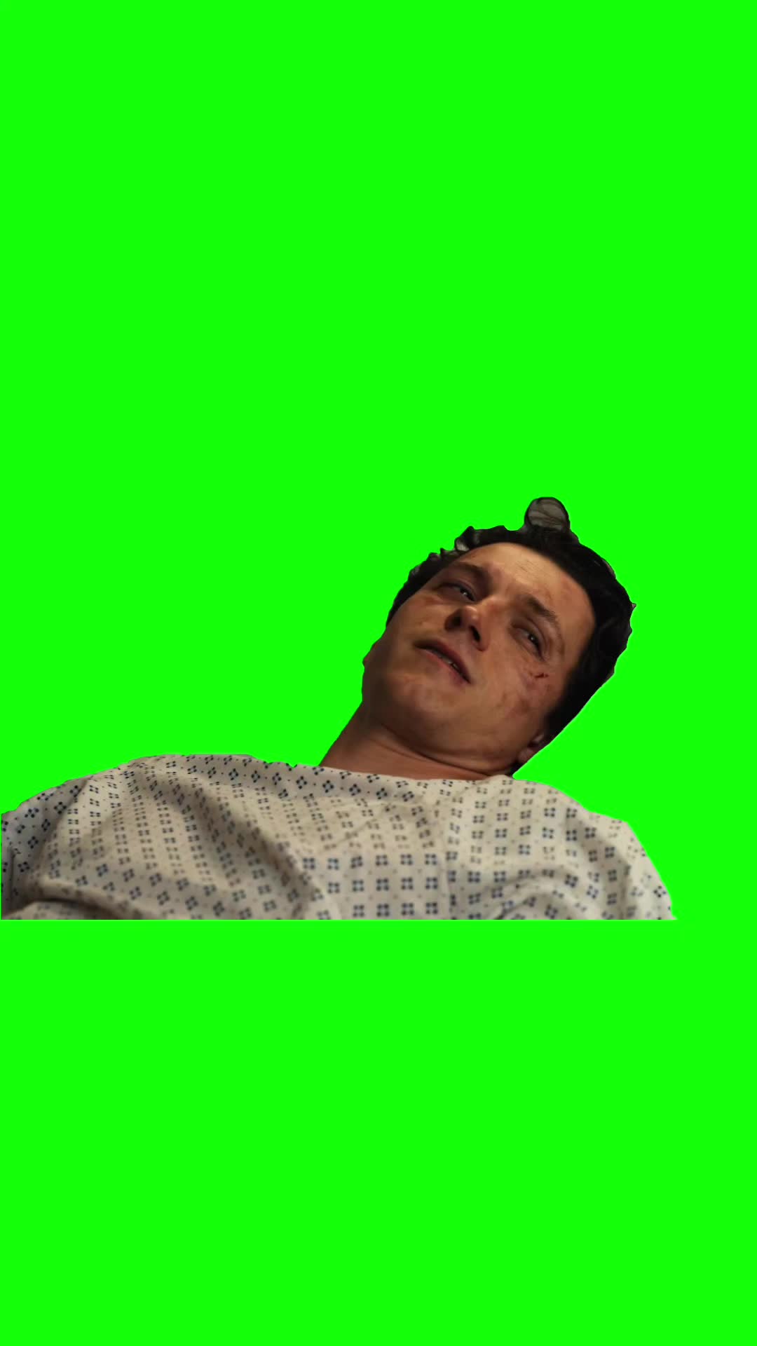 @Chief Green Screens