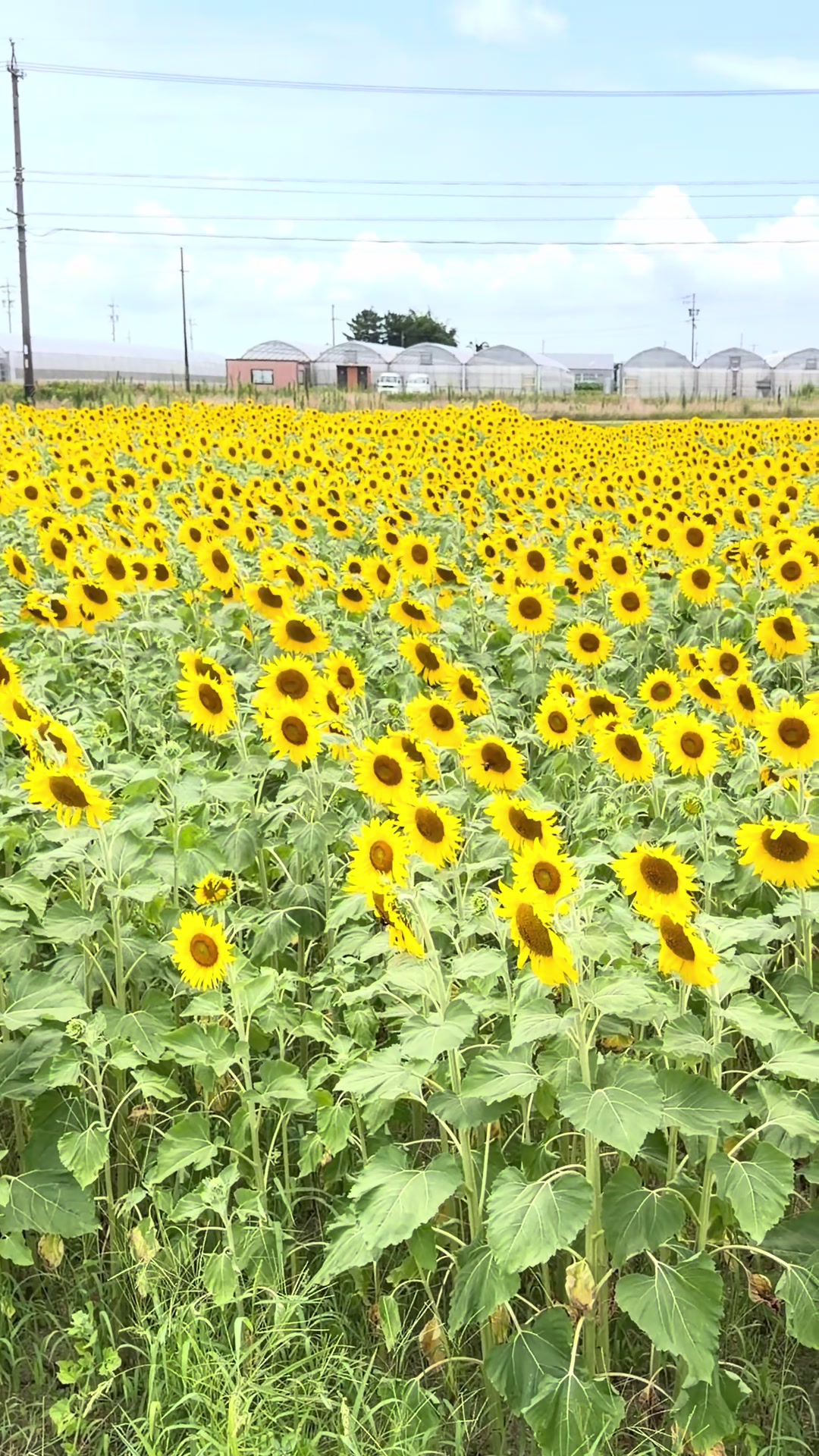 @moriwaki002384