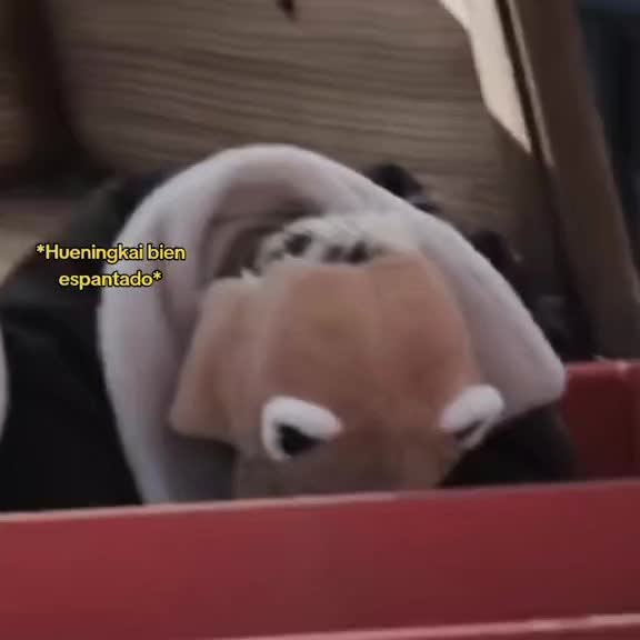 @𝙼✶𝙰