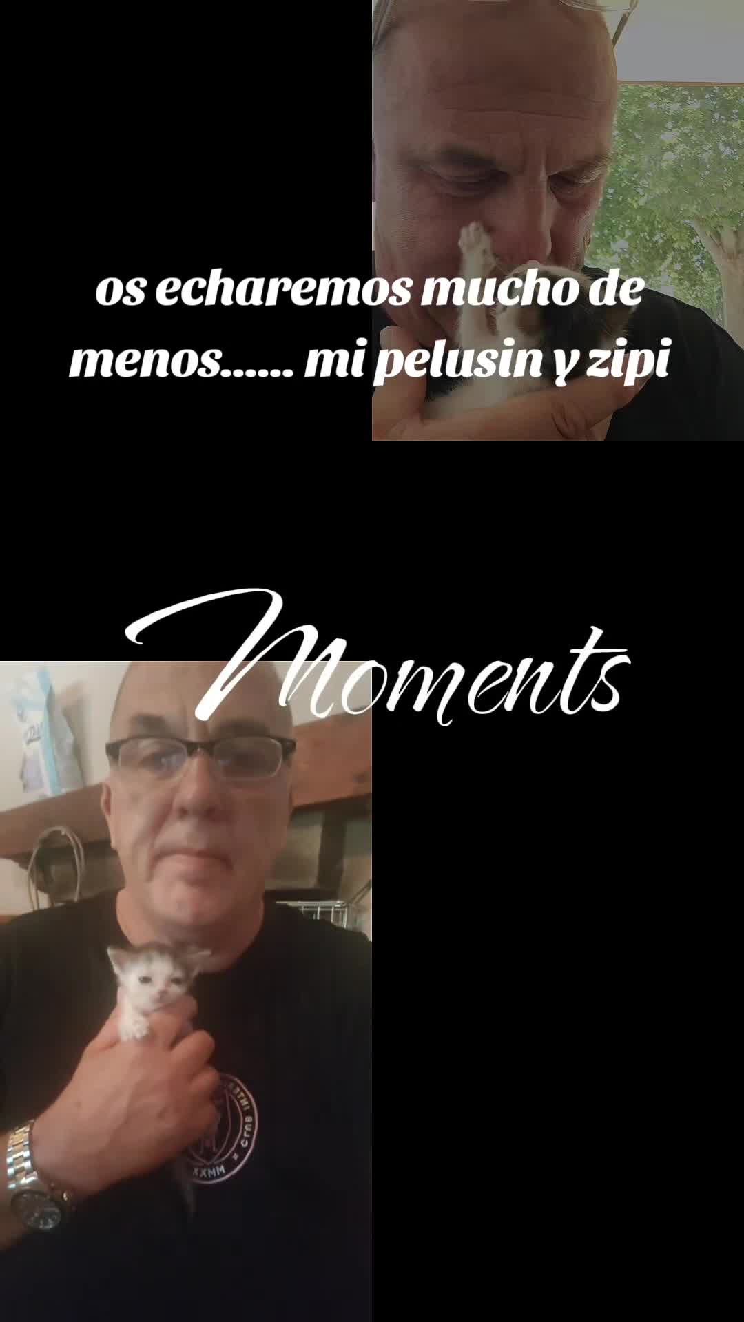 @David/sikuzar