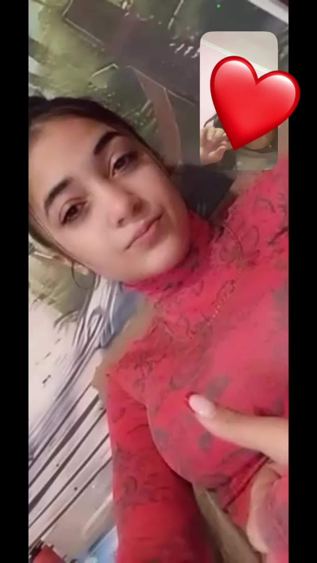 @🦋🕷️🦩