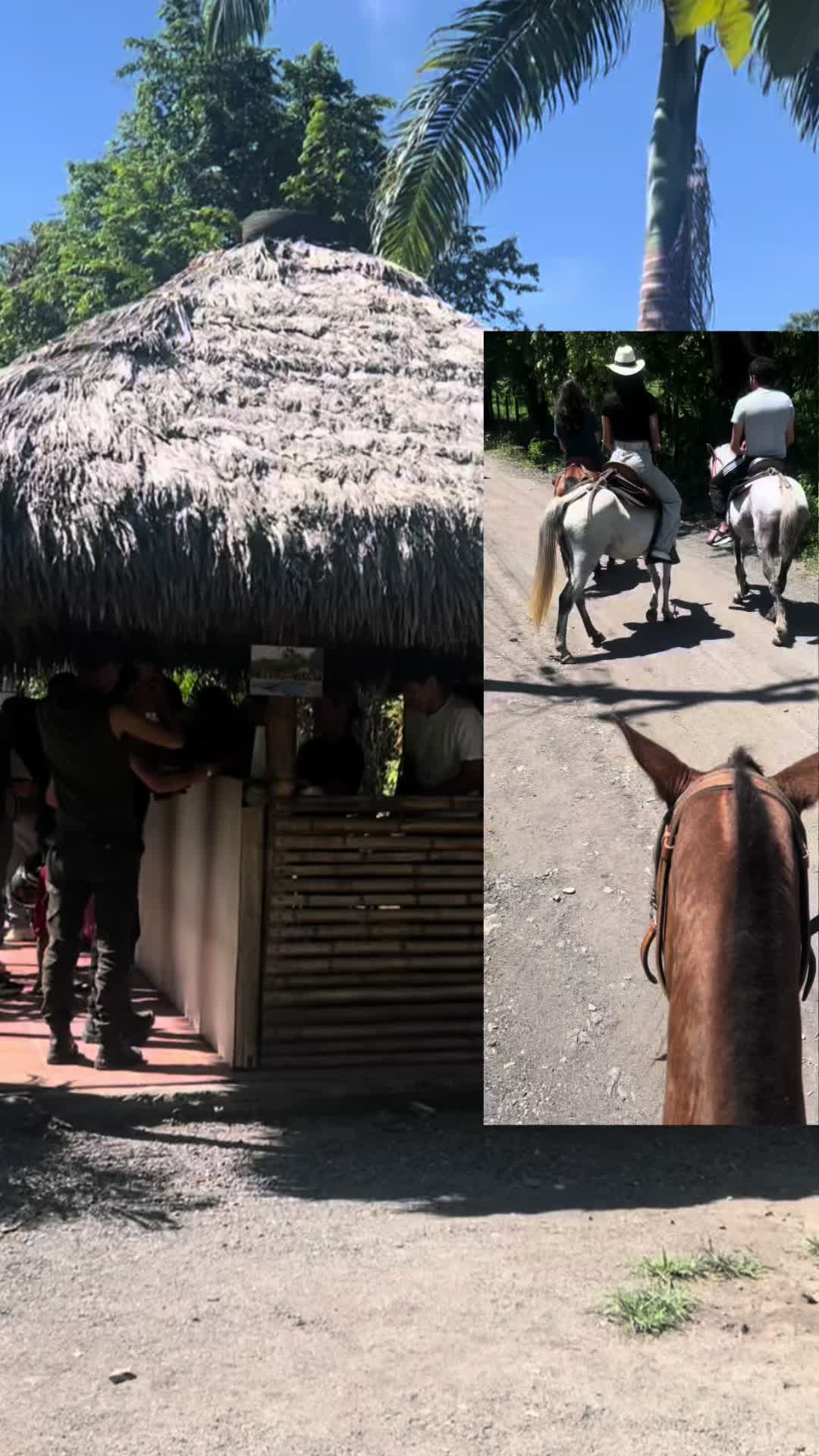 @Para&iacute;so & Aventura