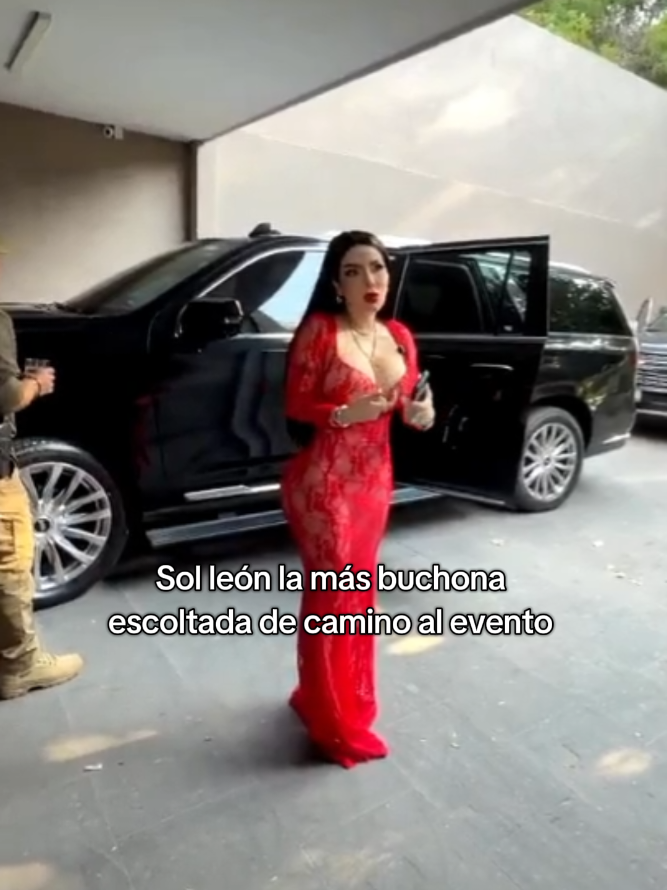 @Team Sol Le&oacute;n 💋⌛🦁