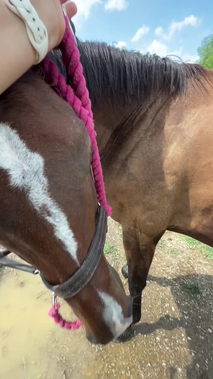 @ThunderGallops