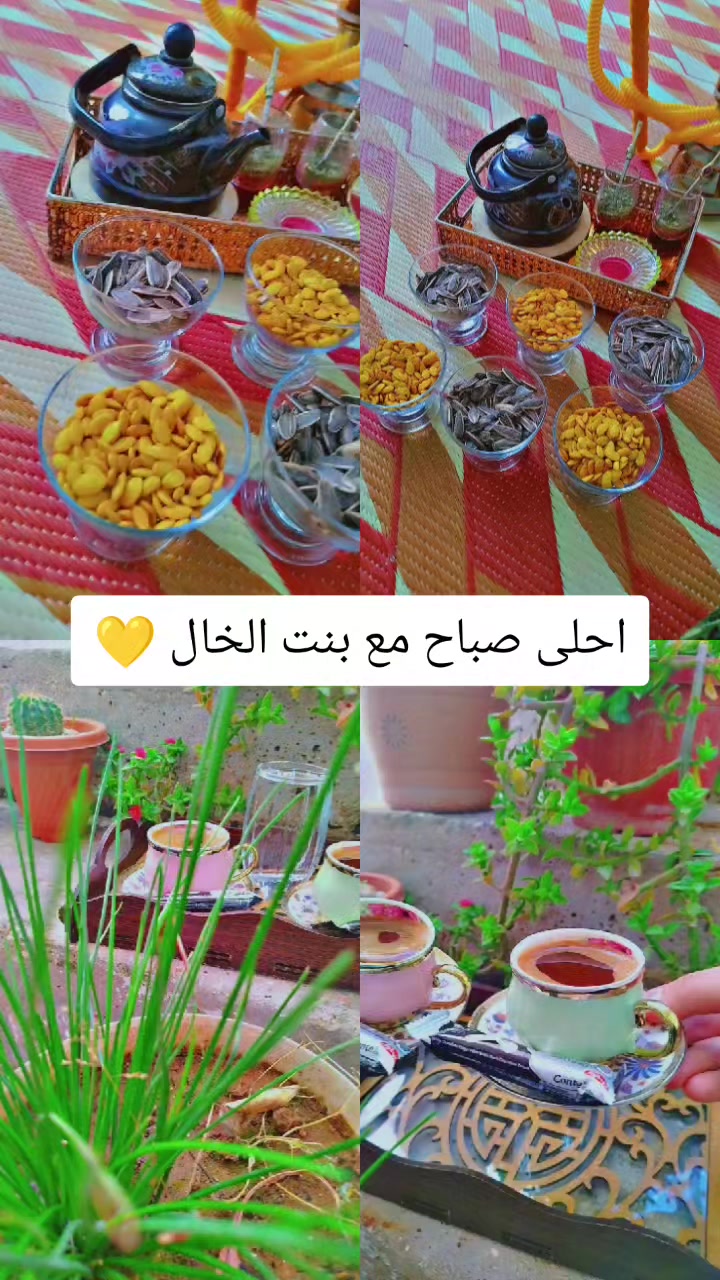 @عبير الورد🧡🍂