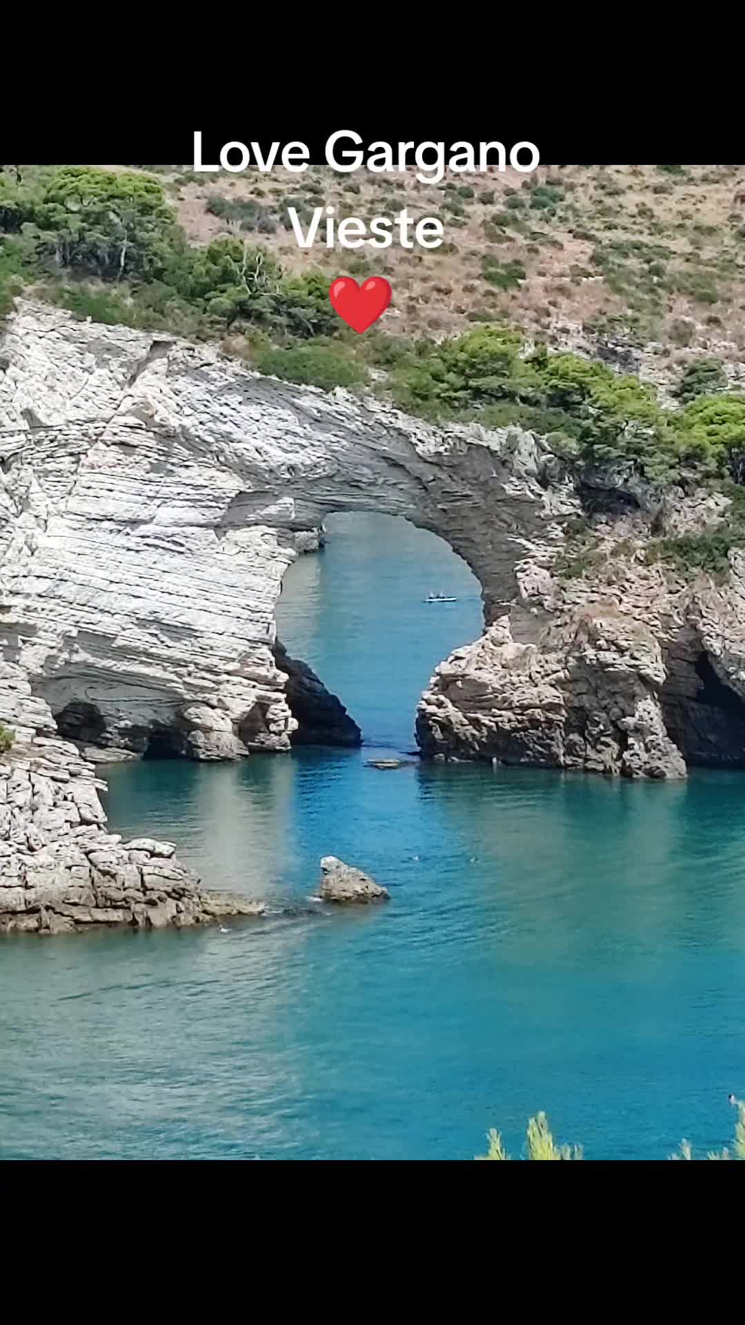 @francescocarella70
