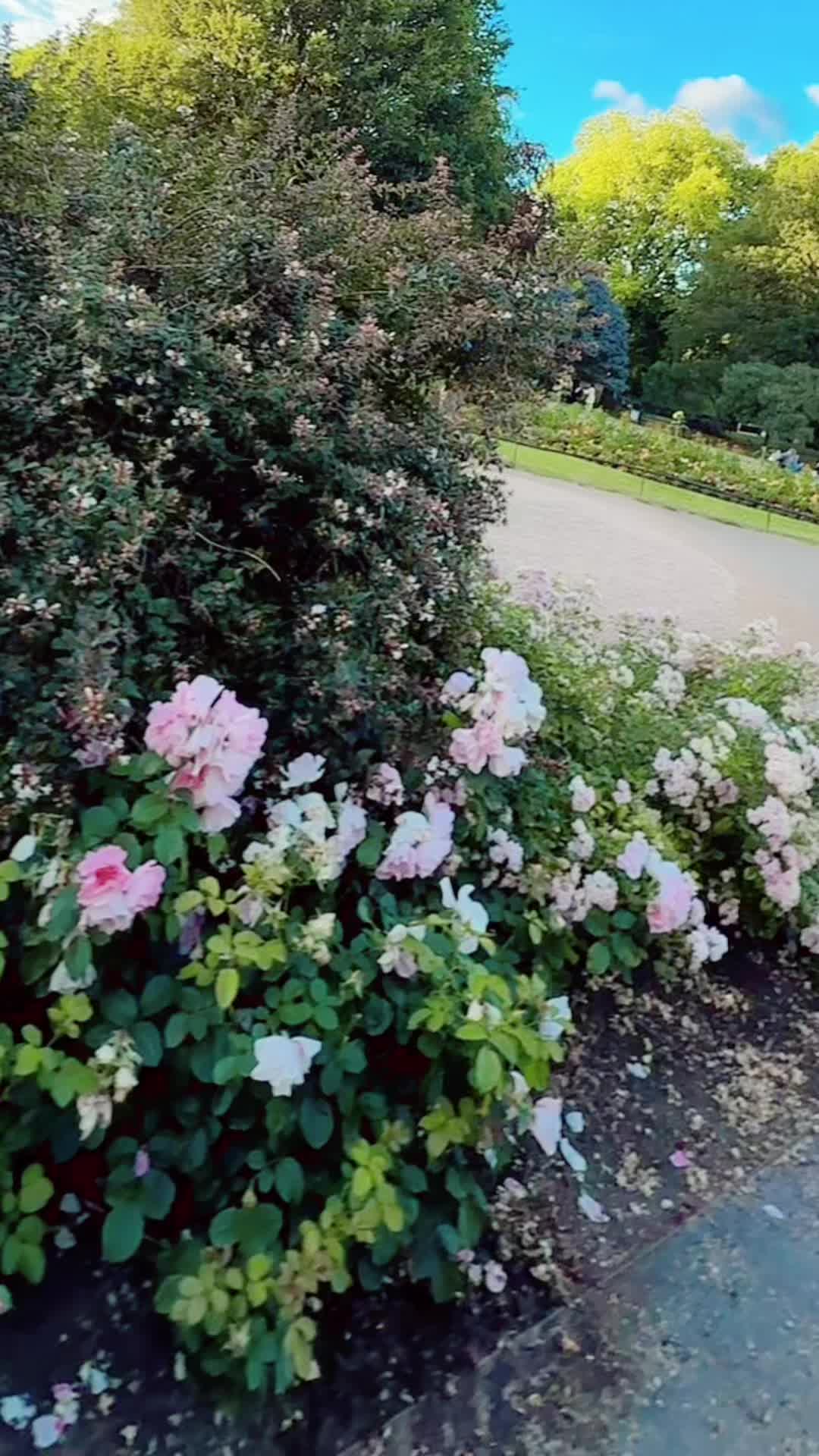 @MEHJABIN🇧🇩🇬🇧