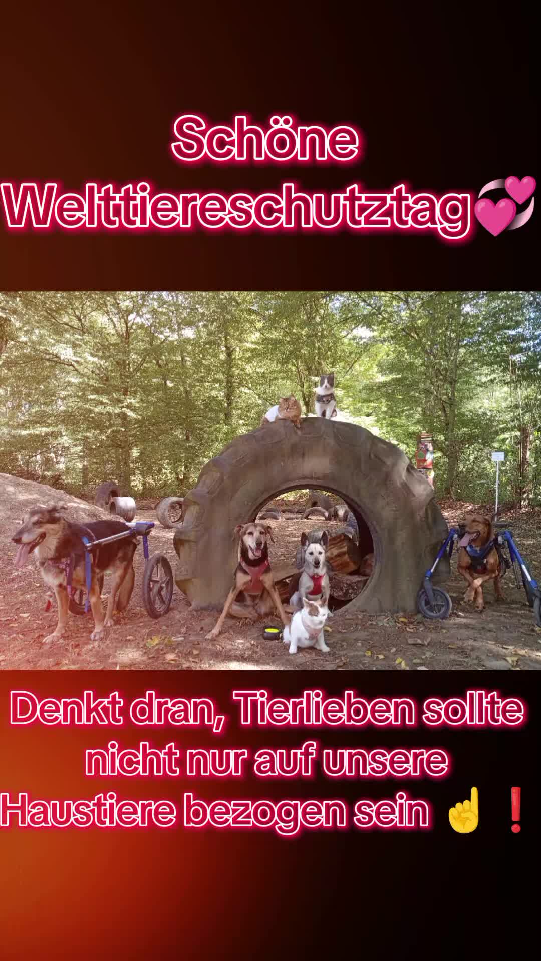 @Connysmultikultitruppe