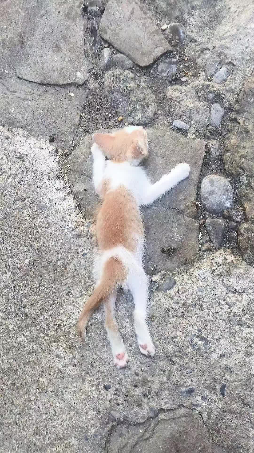 @๐๐๐จ๐ฉ๐ง๐ค.๐ฅ๐โ๏ธ