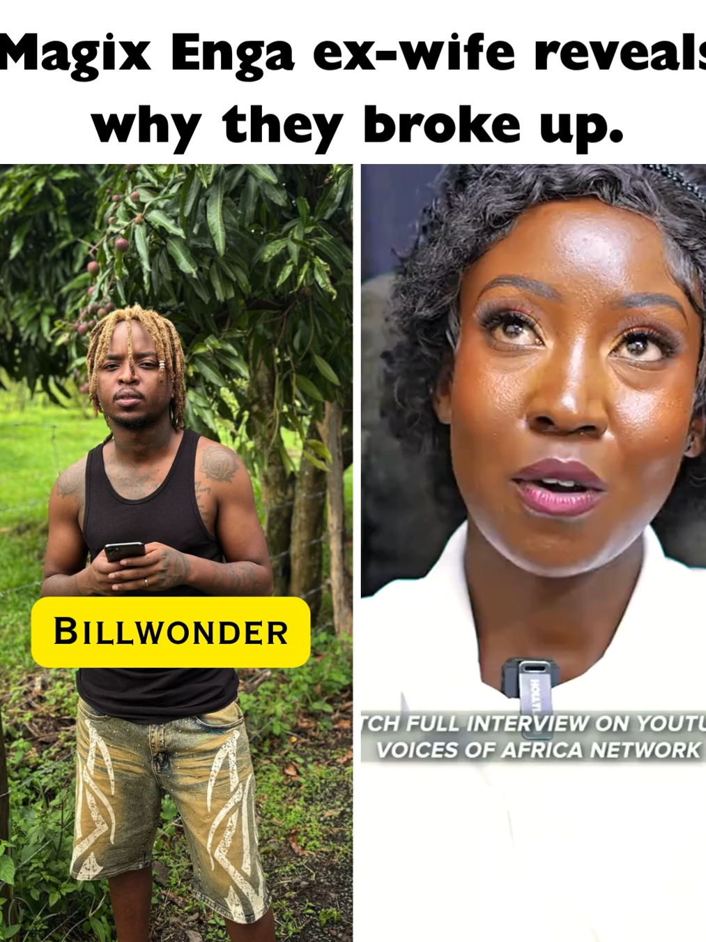 @BILL WONDER  🦁
