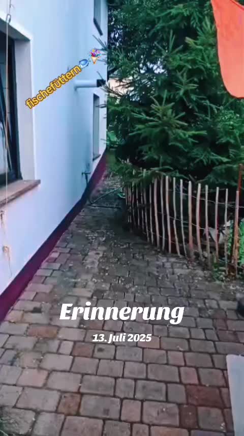 @🔨🔩🏞Fritzelfred125🤯