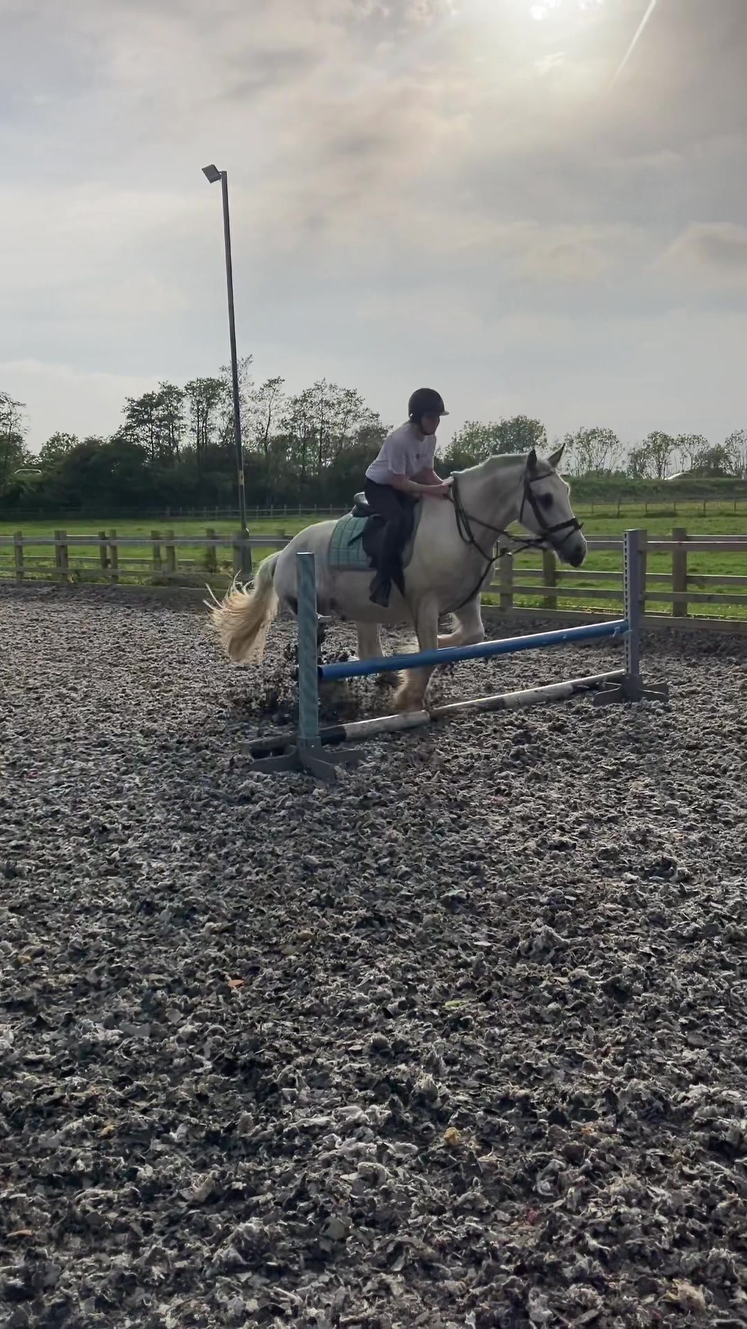 @horse