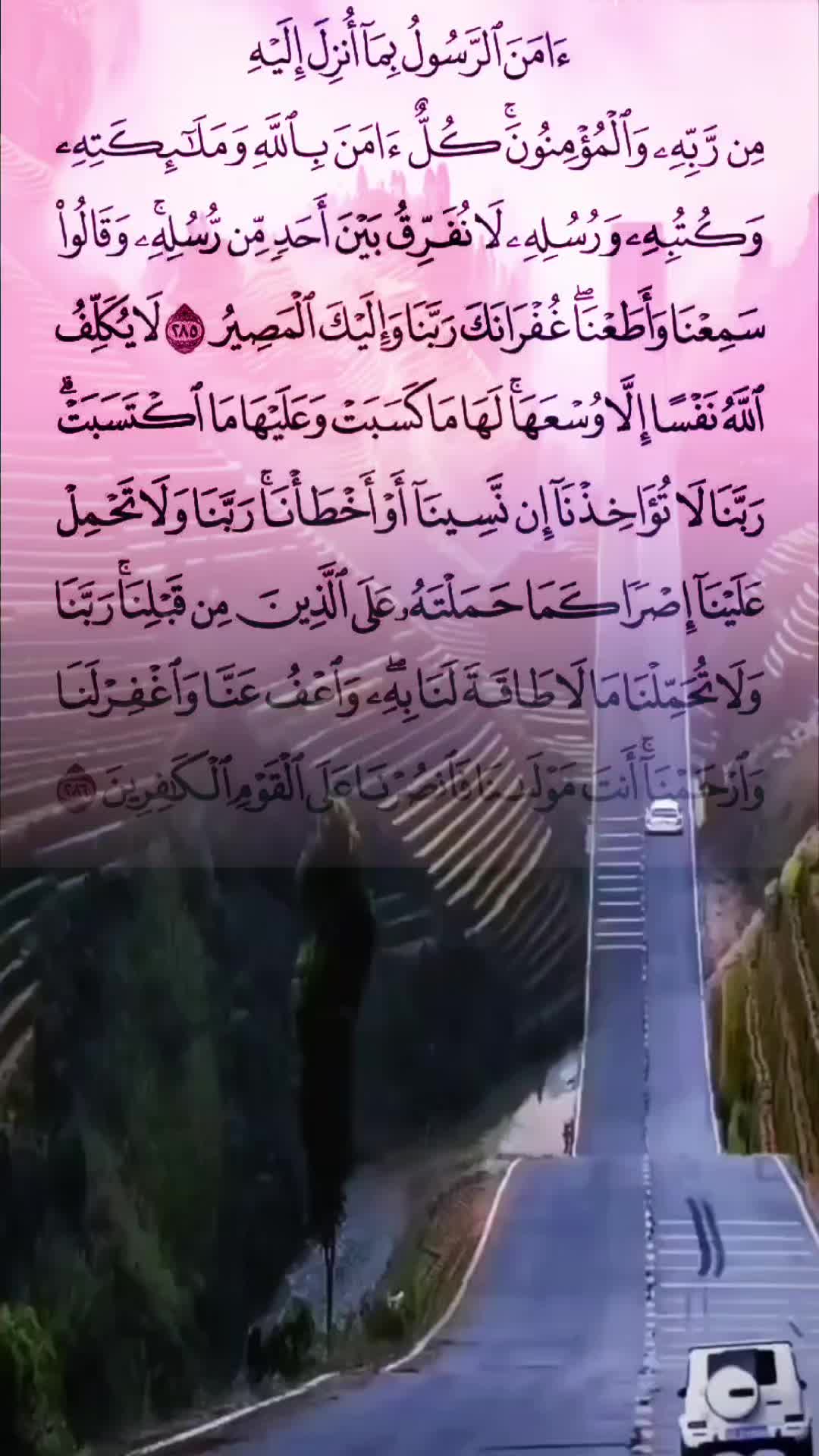 @Abdul Alim