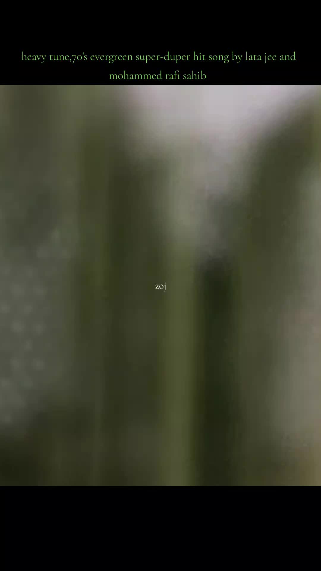 @zoj