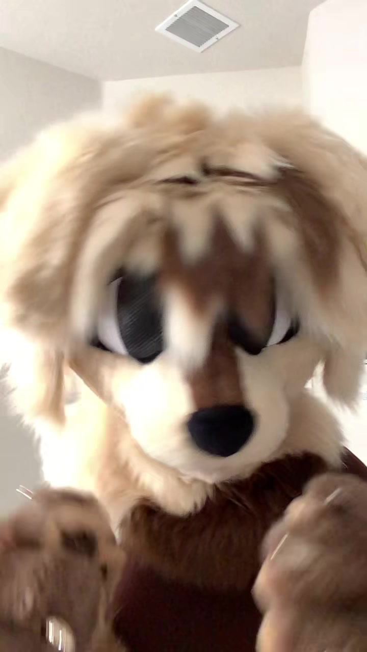 @dog