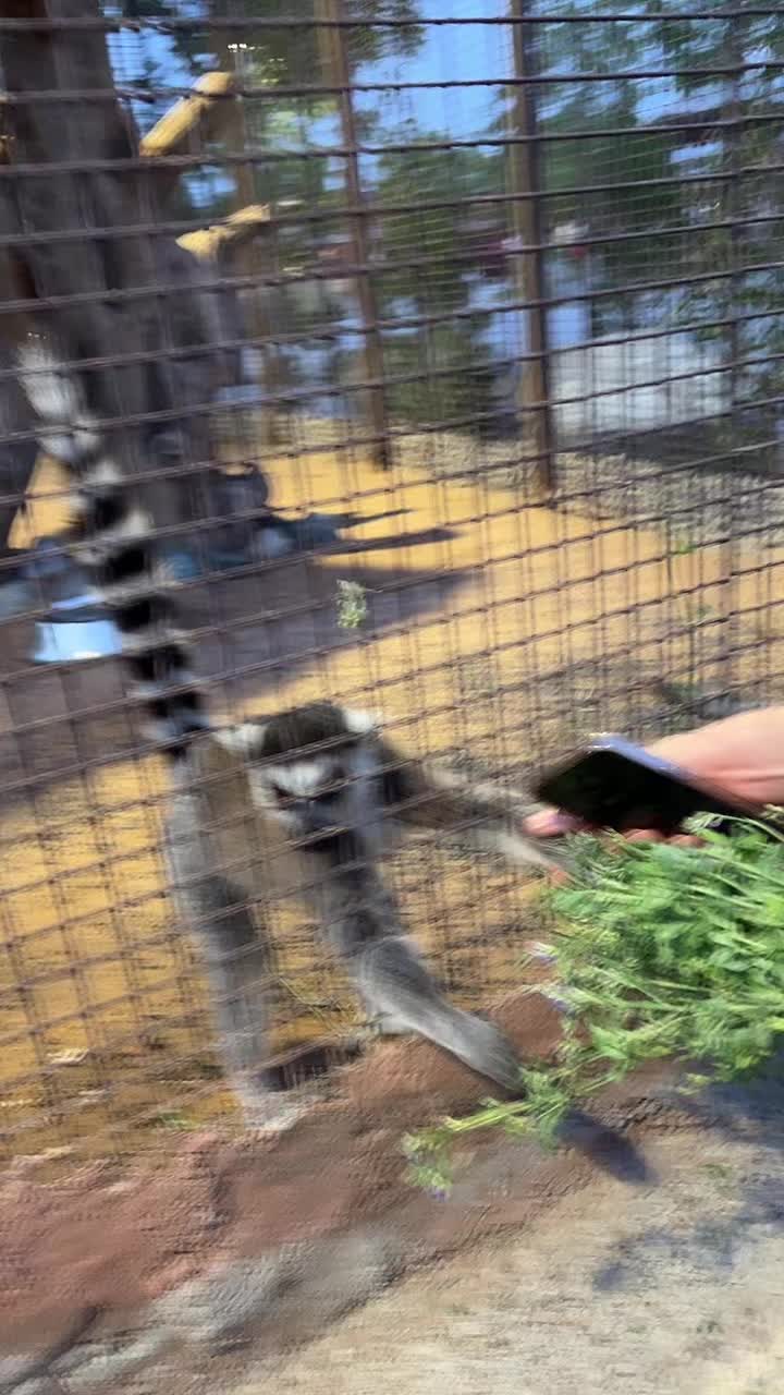 @AMIN KHAN