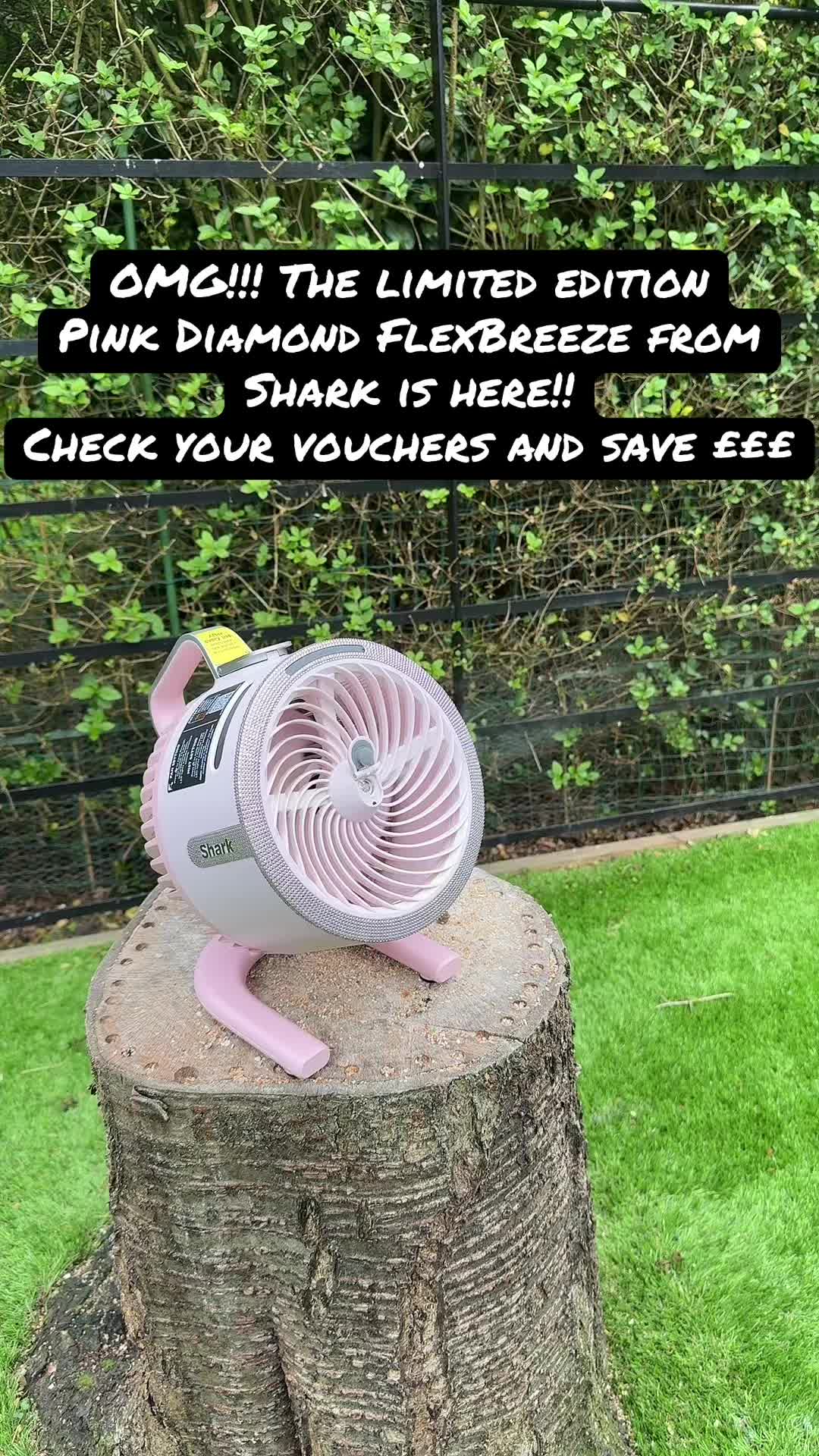 @PipsPonyPicks