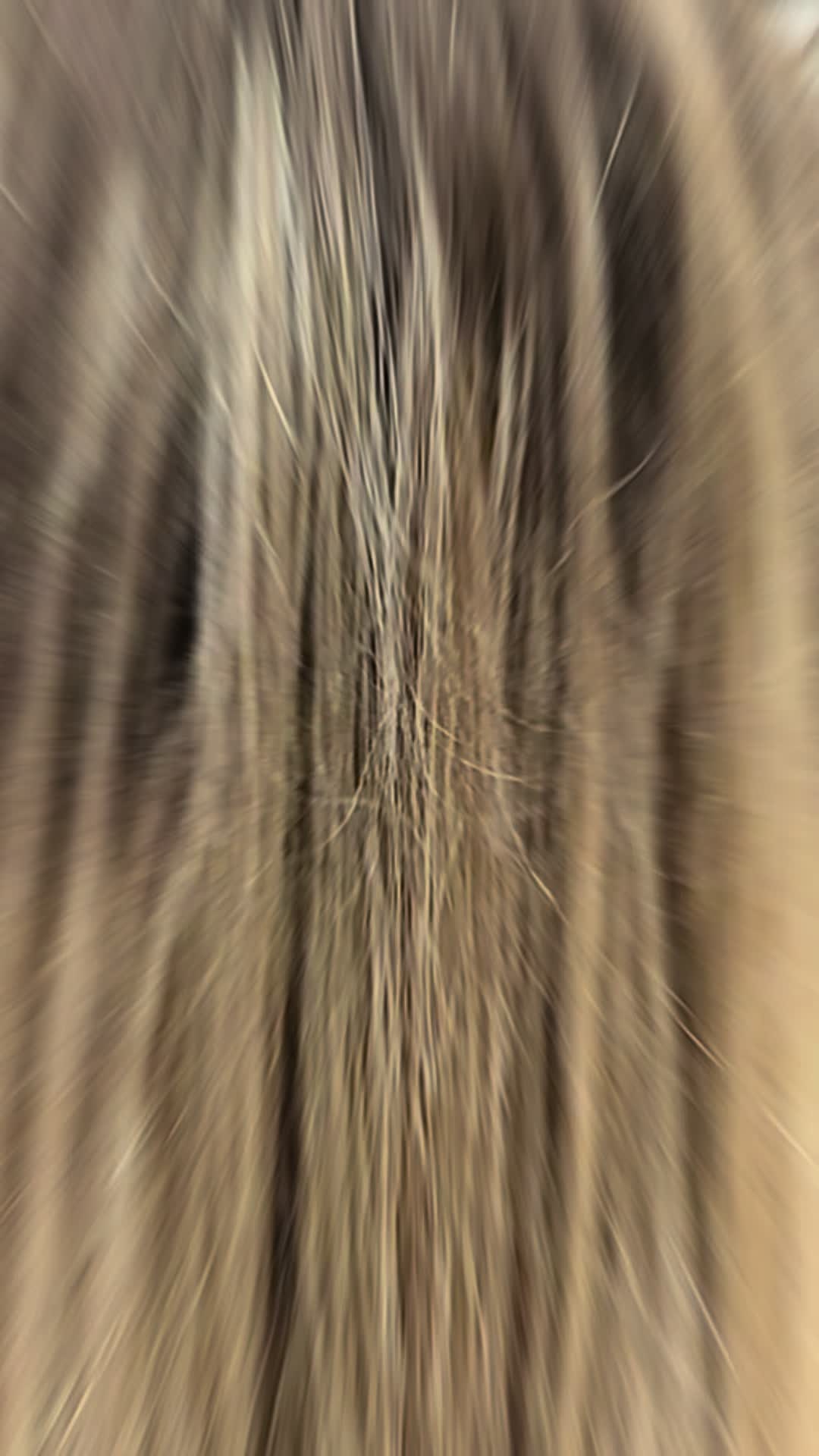 @besthairbyalex