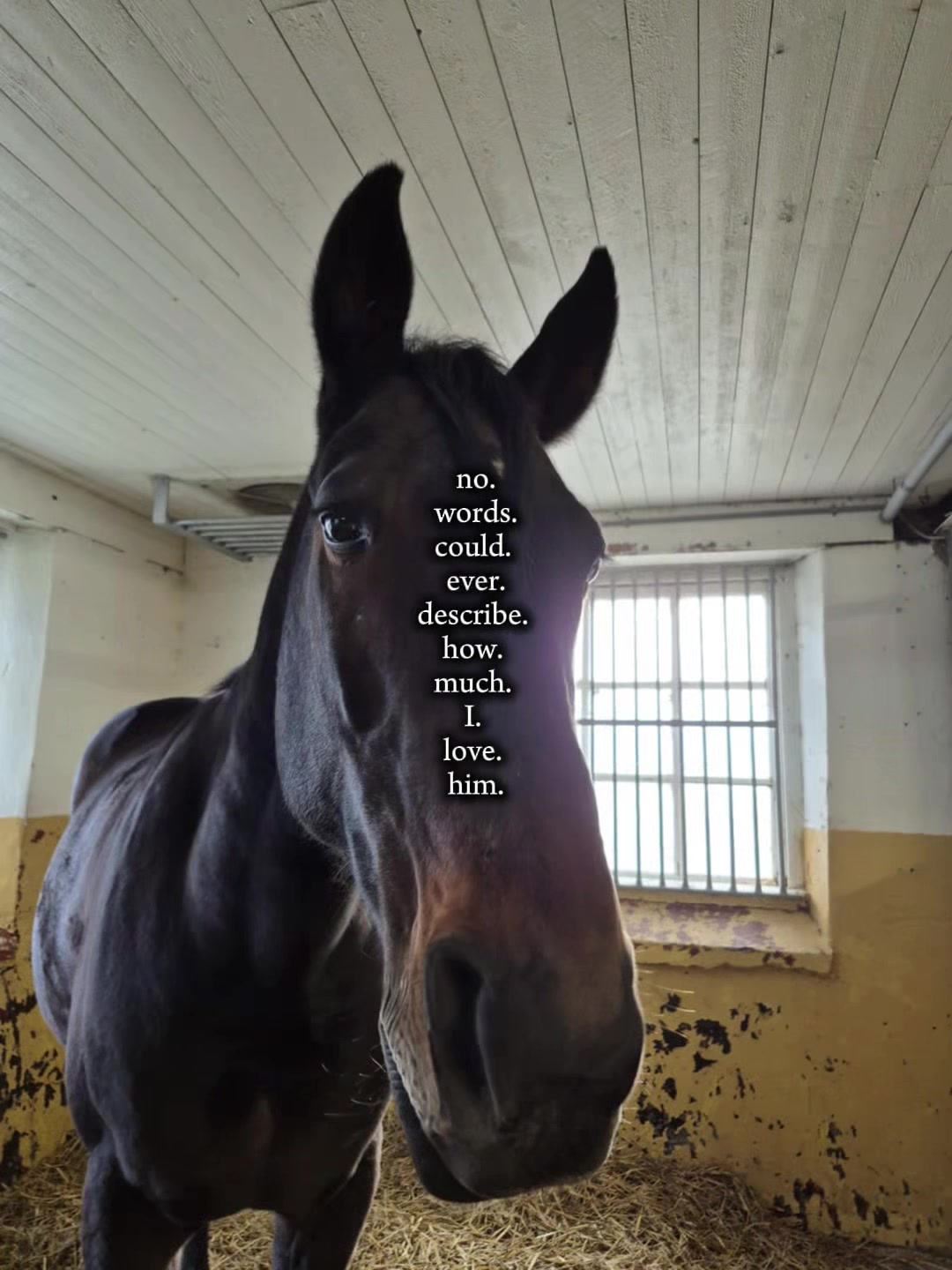 @️