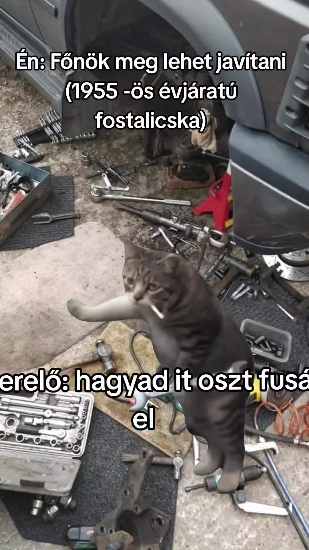 @Istu