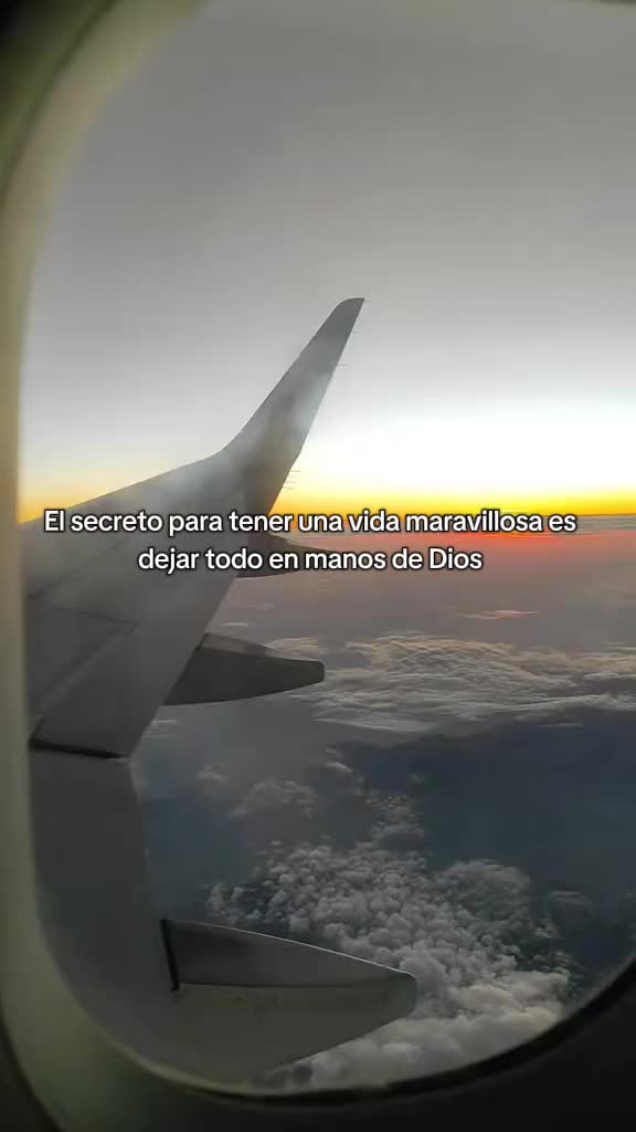 @Maya Lafebre