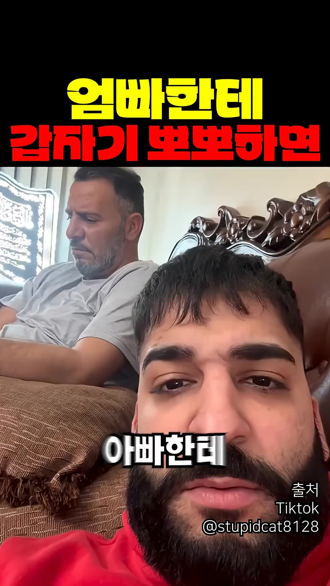 @짱아까미