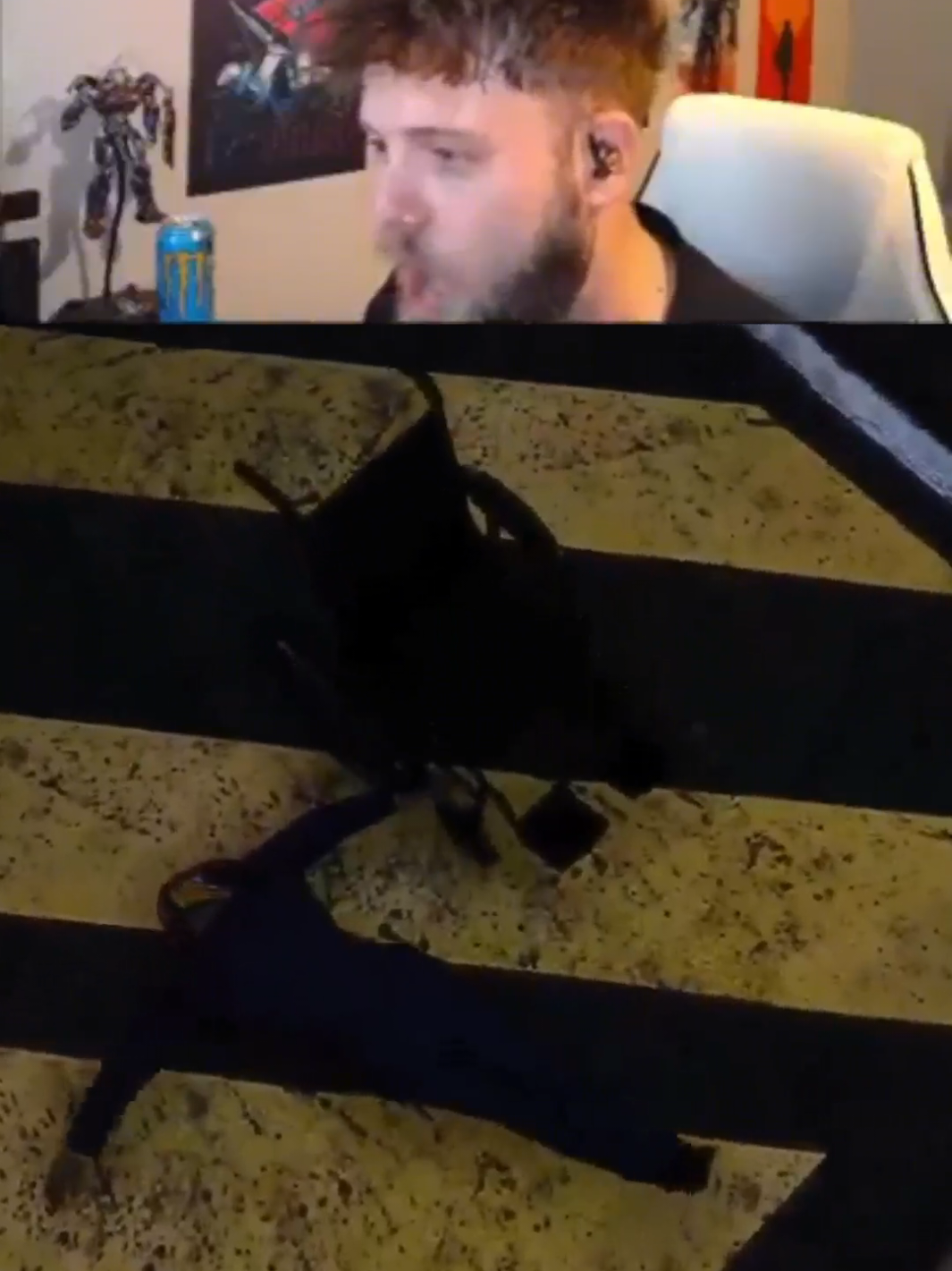 @ashbandicoottv