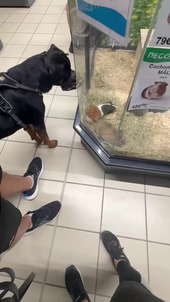 @NALA