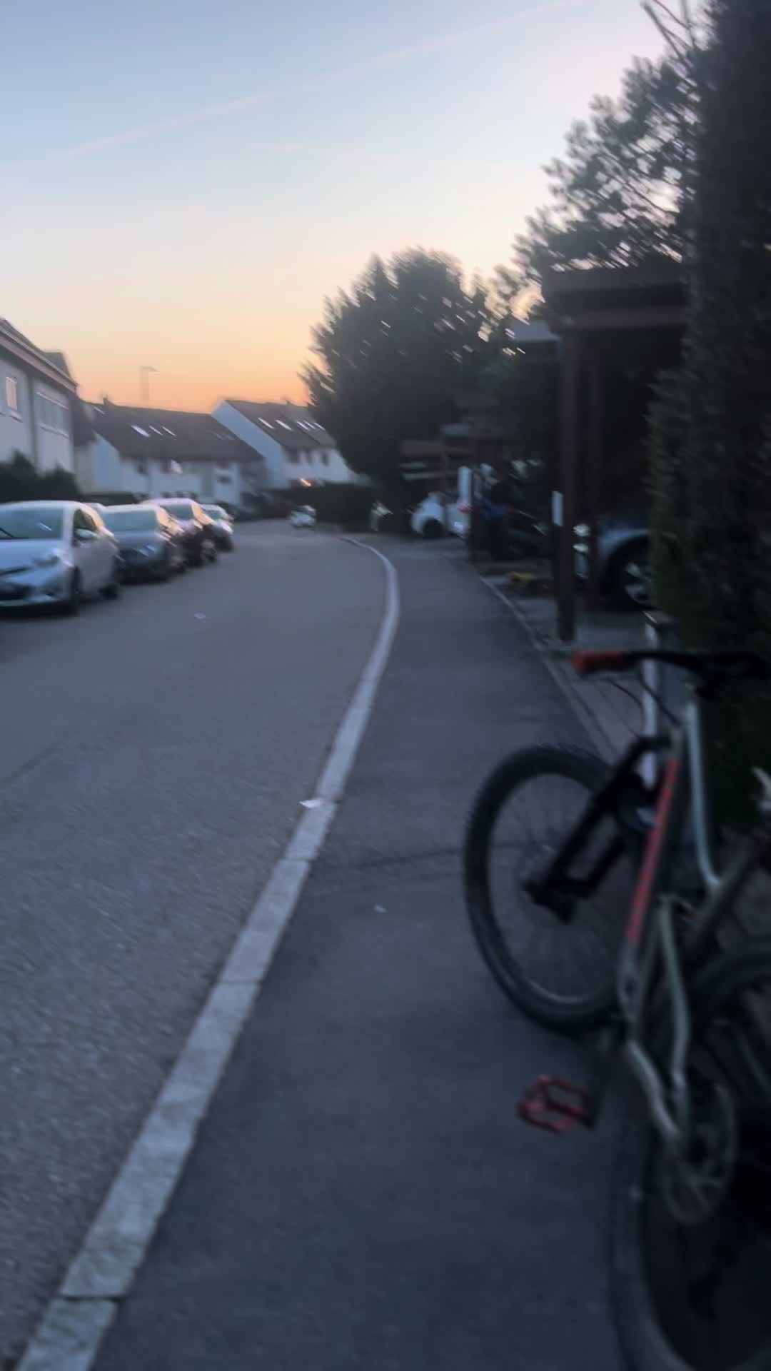 @william.mci🌲