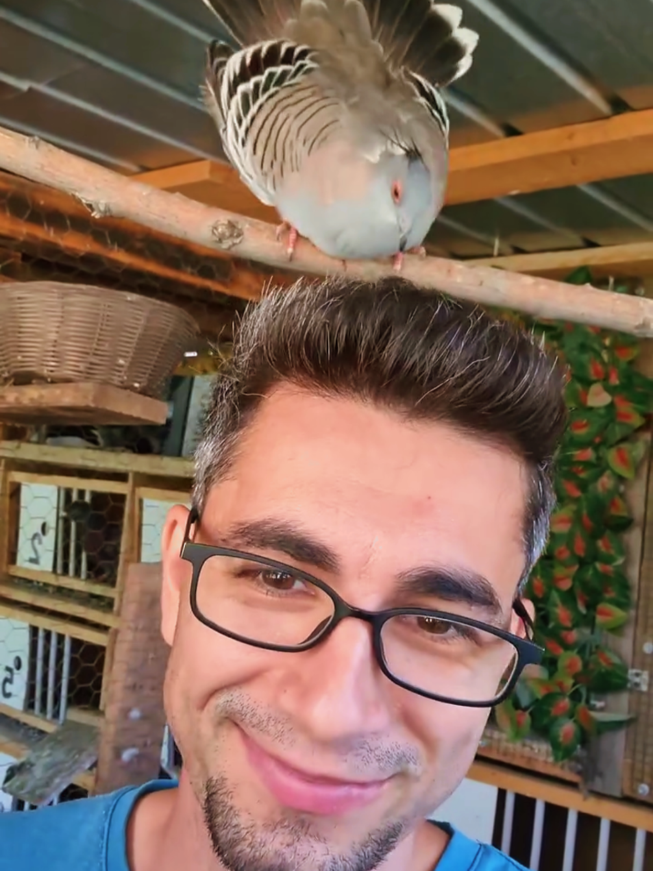 @Bogdan Hriscu
