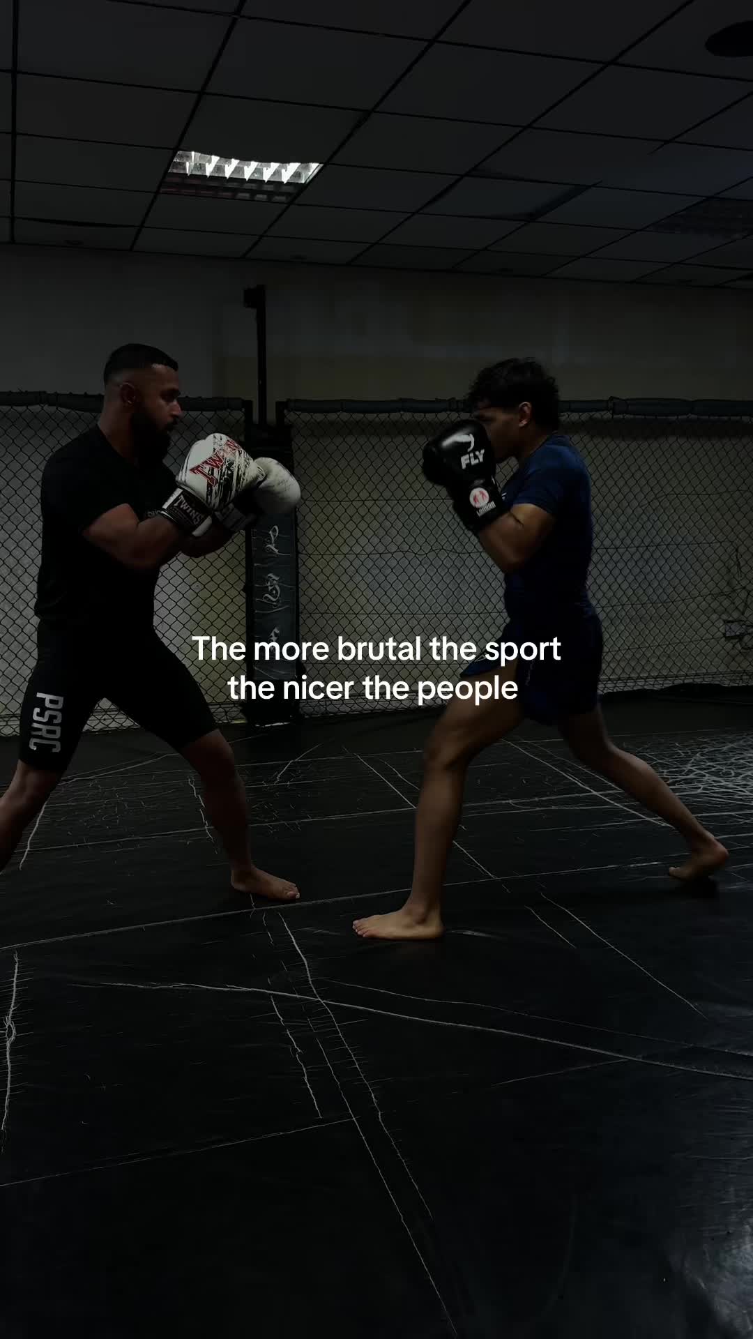 @Gorillahasan