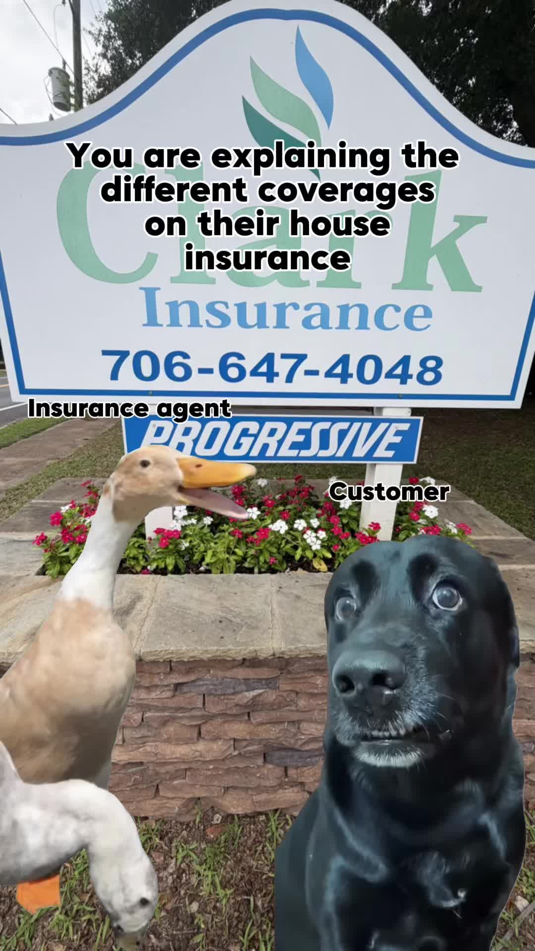 @ClarkInsurance_girls