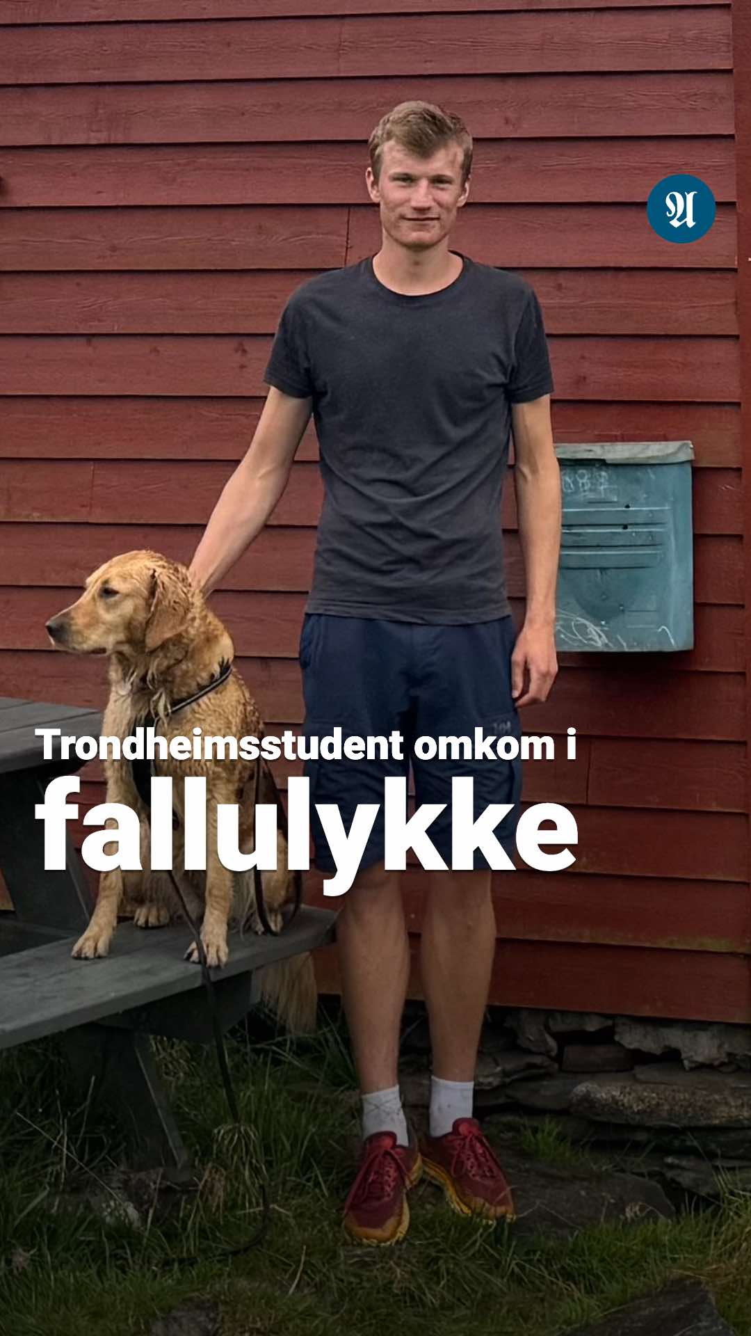 @Adresseavisen