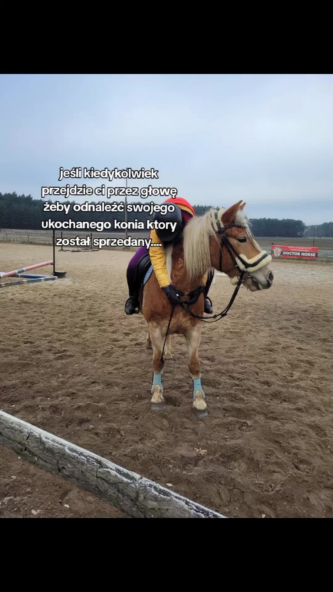 @TA OD KUCYK&Oacute;W🐴🐎
