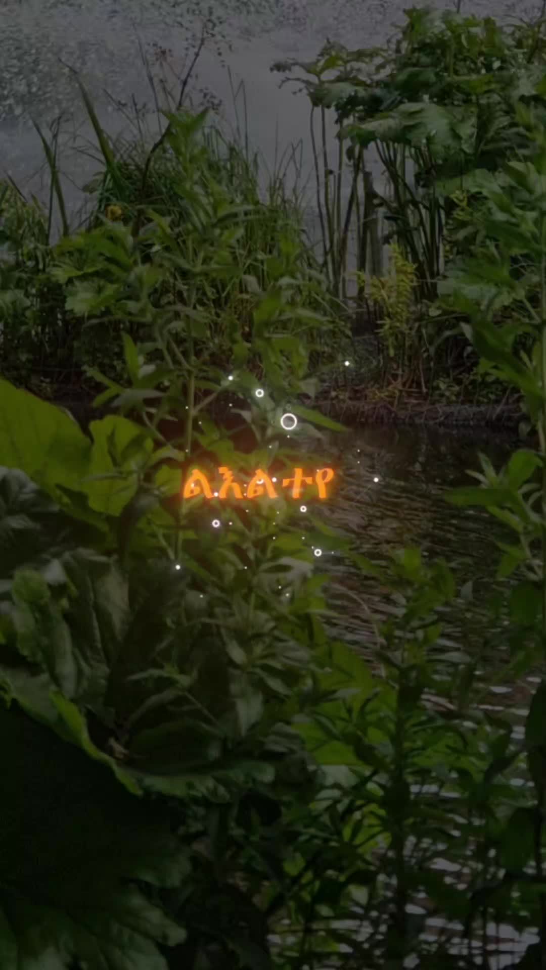 @ማ.ይ.ነፍሒ🤝🫵