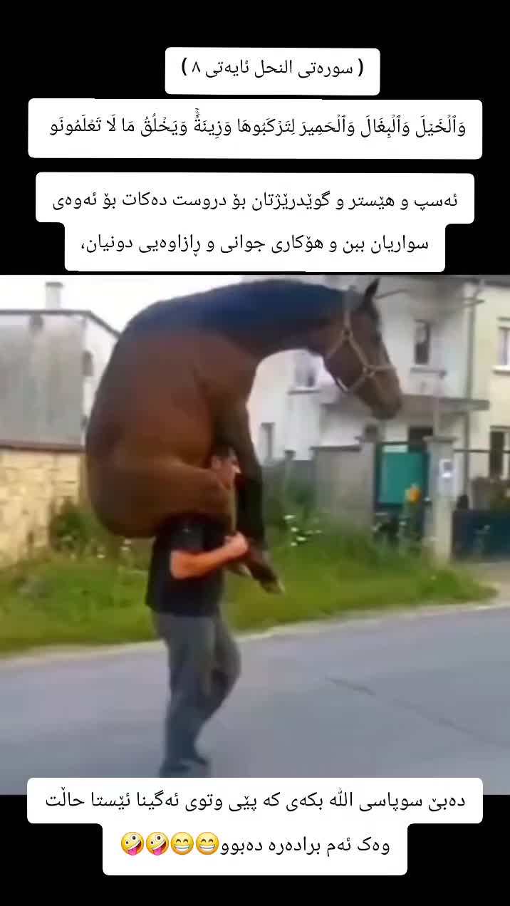 @Ari mustafa taha