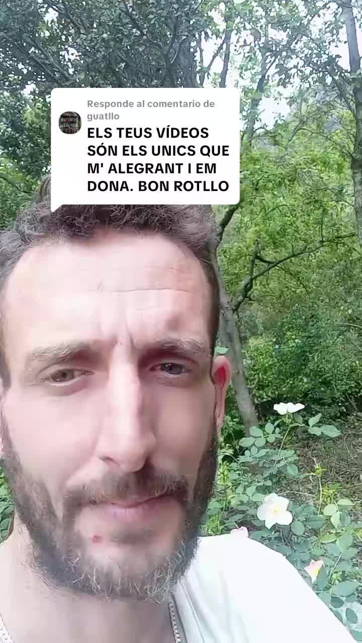 @Mansió de la gran vida