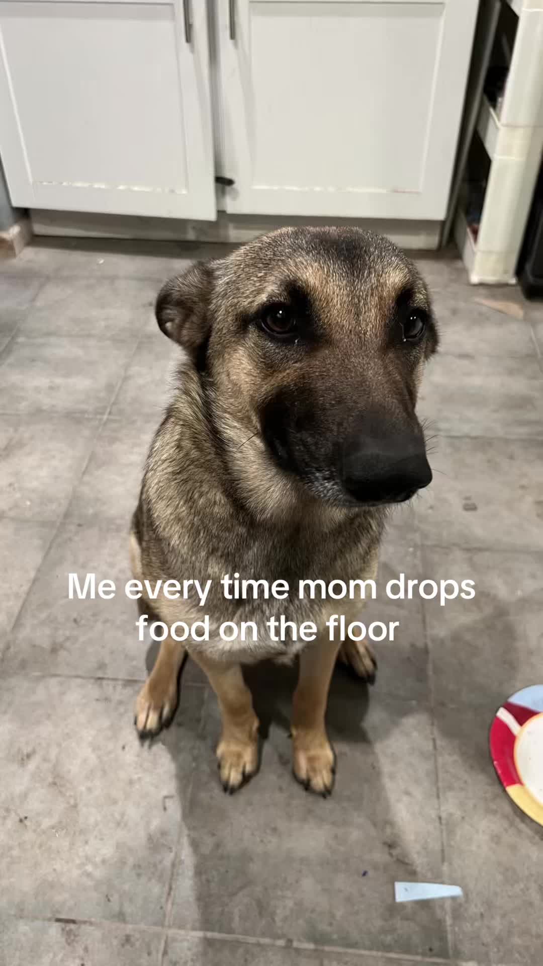 @lifeafter_loss