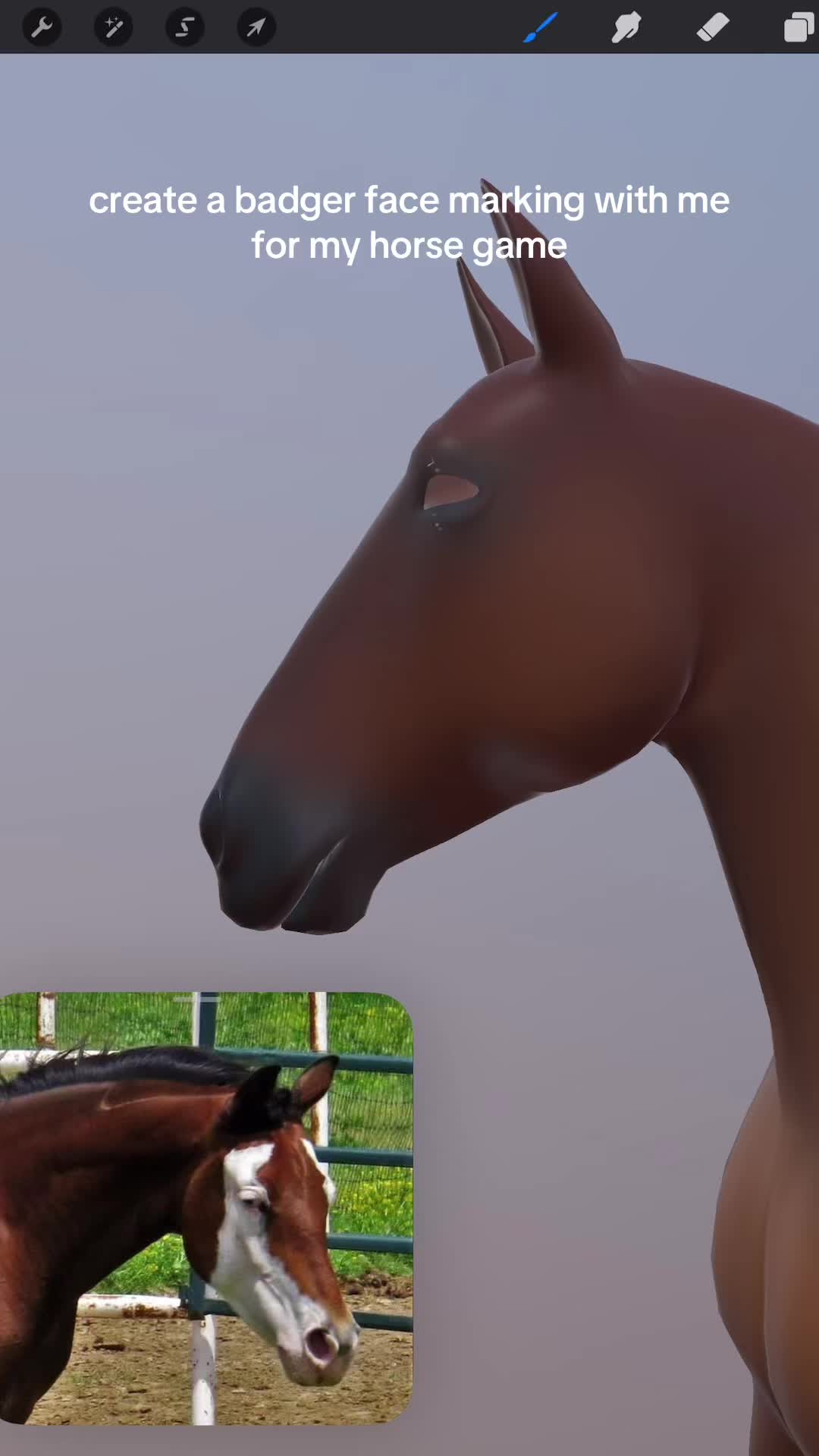 @equistride_