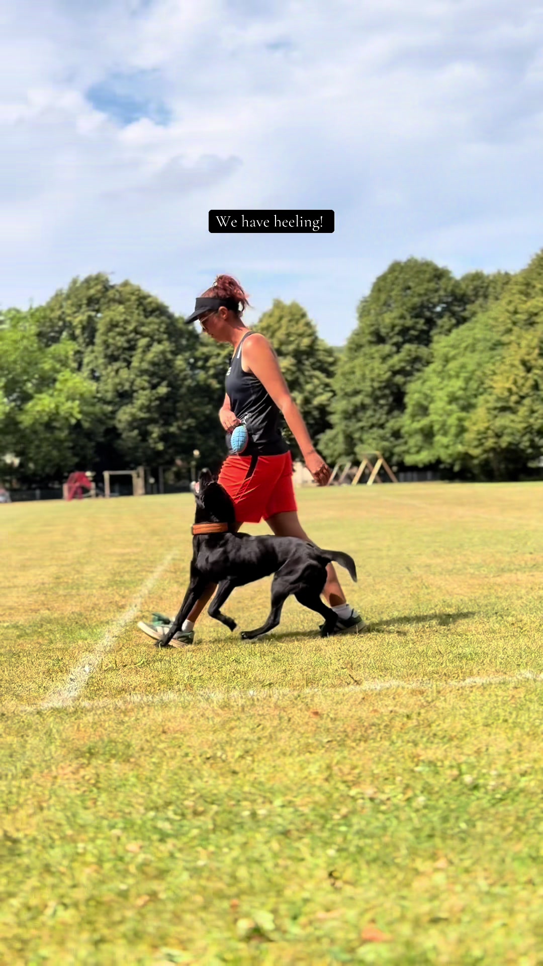 @Valleys Dog Training