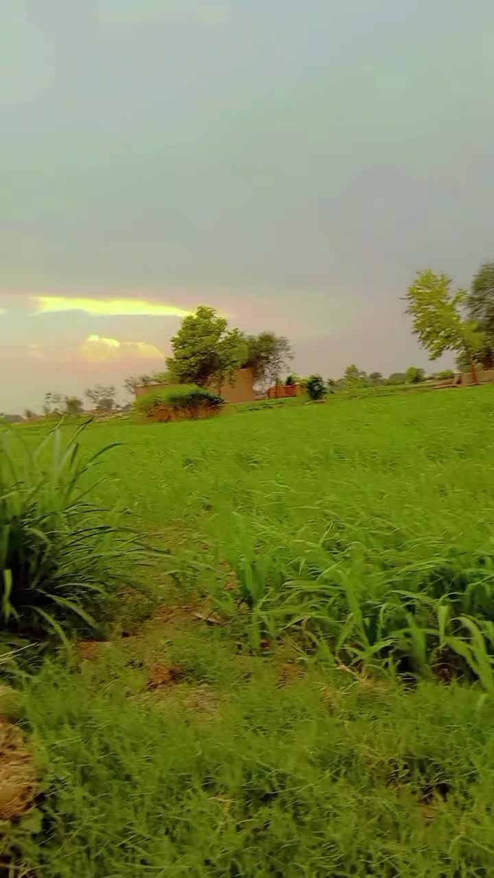 @جہانیاں کی شہزادی